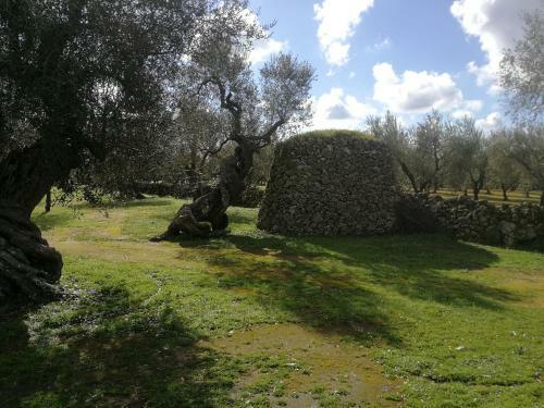 Agroturismo La Casina Di Borgagne