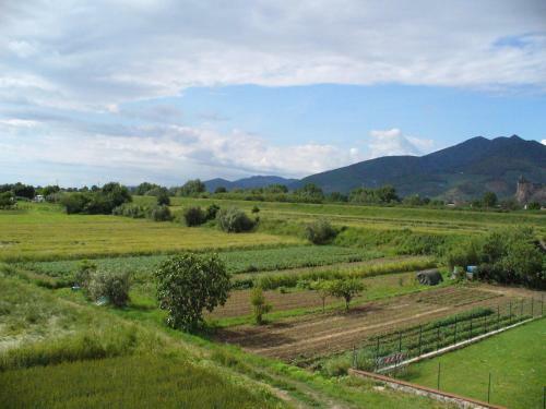 Bed & Breakfast La Convenienza