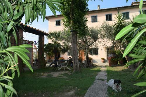Bed & Breakfast La Convenienza