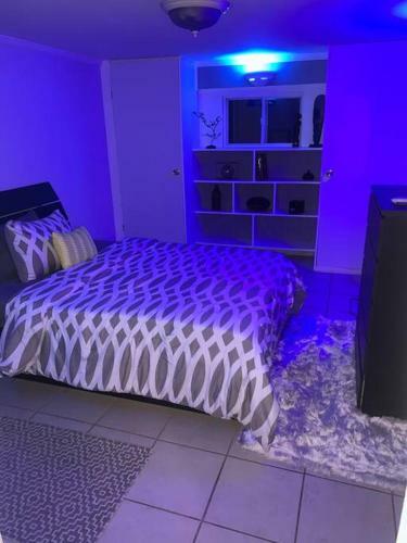 352 New York Cozy, 1 Bedroom Brownstone Apt