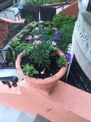 352 New York Cozy, 1 Bedroom Brownstone Apt