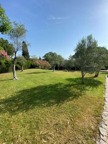 Magnifique Villa Avec Piscine � Mougins