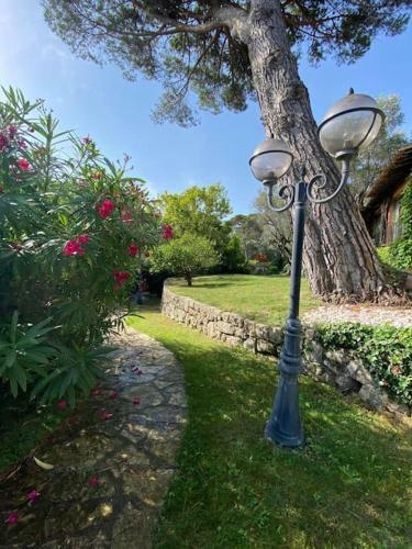 Magnifique Villa Avec Piscine � Mougins