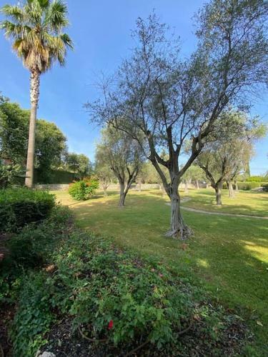Magnifique Villa Avec Piscine � Mougins