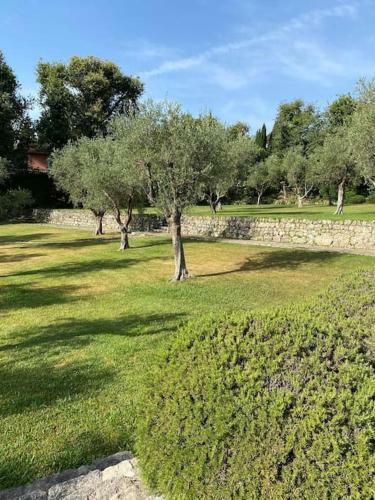 Magnifique Villa Avec Piscine � Mougins