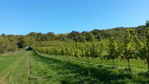 Apartamento Les Hauts De Scy