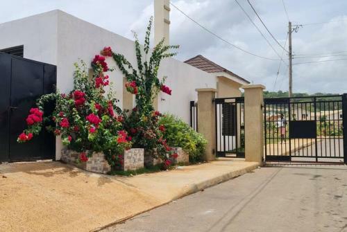 Apartamento Vae Tropical Paradise