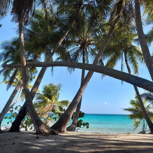 Apartamento Nuutea Lodge Rangiroa