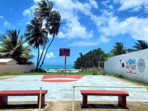 Apartamento Peaceful Ocean Front Home Near Rainforest & Rivers 102