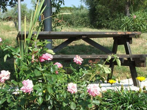 Apartamento La Pietraia
