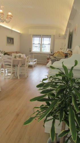 B&B Nadine