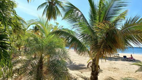 Apartamento Beach Studio 20