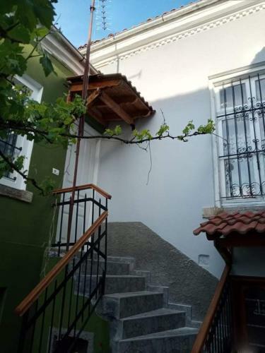 Green House