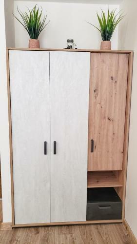 Apartamento Klepalski - Mountain Studio