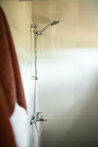 Hostal Glamping House Two Rivers