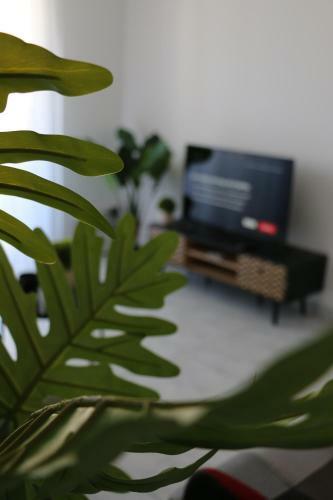 Apartamento The Nest