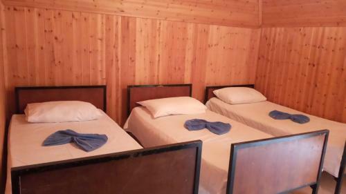 Hostal Bujtina Carku