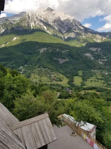 Hostal Bujtina Carku