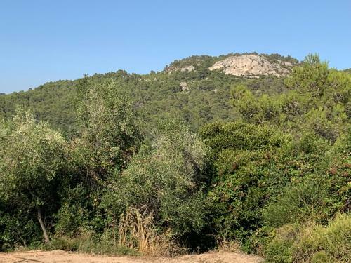 Villa Rosa