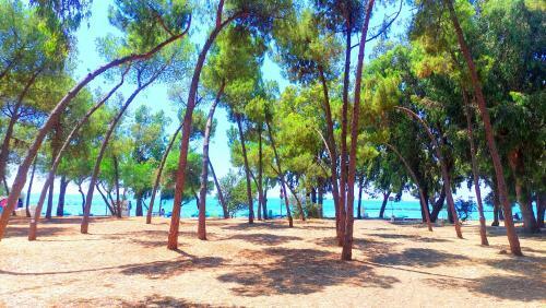 Andri's Spacious Apartment Near The Beach