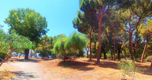 Andri's Spacious Apartment Near The Beach