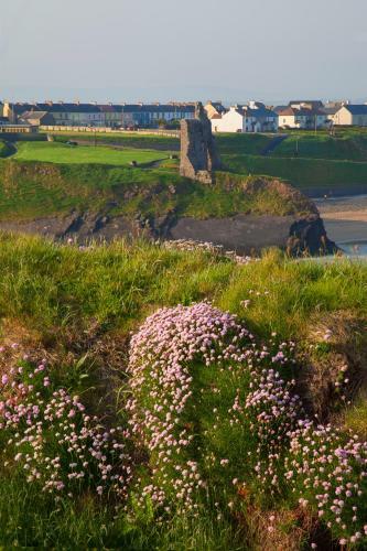 The Barna Way Glamping