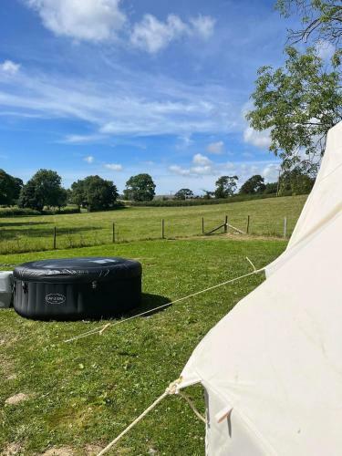 Tipi - Pengarreg