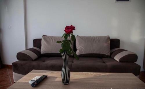Delux Apartmani