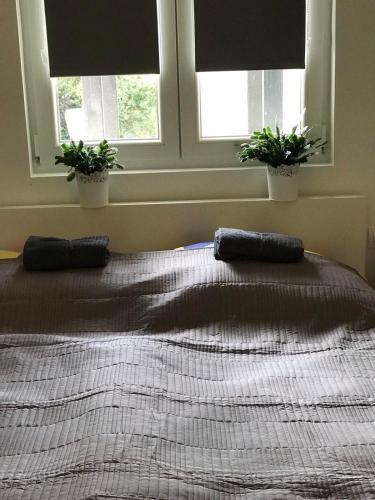 Apartamento Leda Vendeghaz