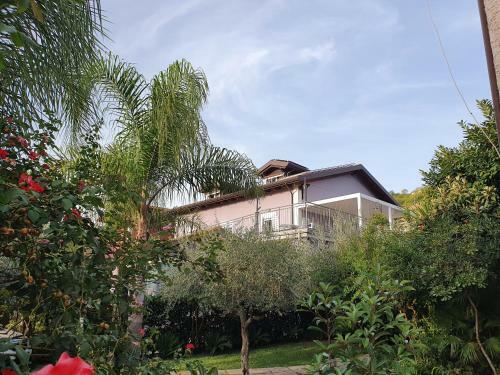 Hostal Villa Margot