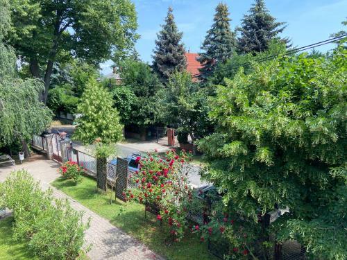 Veronika Apartman