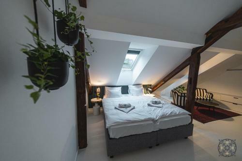 Hostal Villa Chez Les Amis