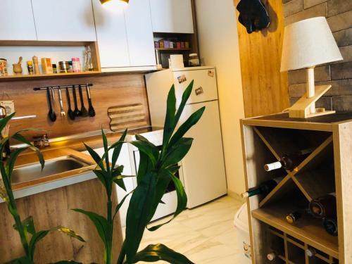 Sunrise Beach Deluxe Apartment