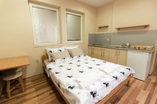 Apartments Ohrid Izabela