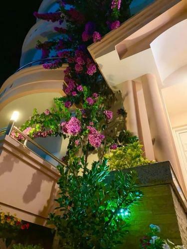 Apartments Dielli