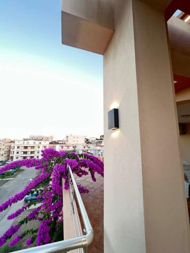 Apartments Dielli