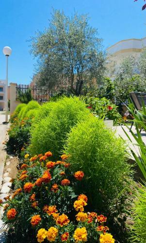 Apartments Dielli