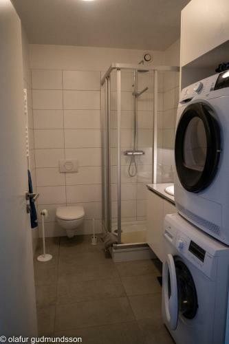 Comfortable Apartment