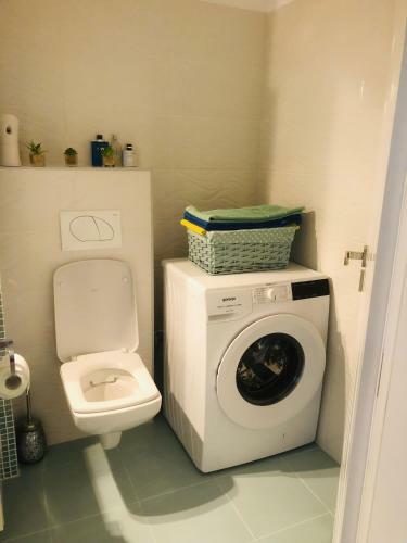 Apartament Alex