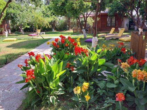 Bed & Breakfast Miss Mandarin Bungalow Evleri