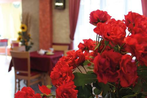 Hotel Albergo Da Romano