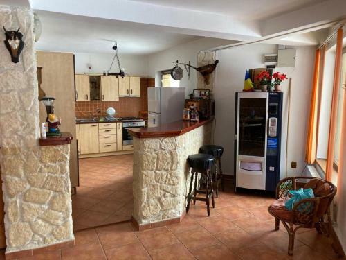 Villa Vila Ianis Bran