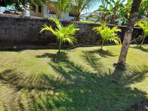 Vlb Lux Apartments