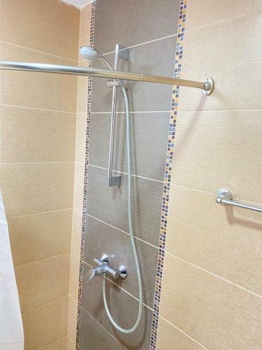 One-bedroom Apartment Atenea