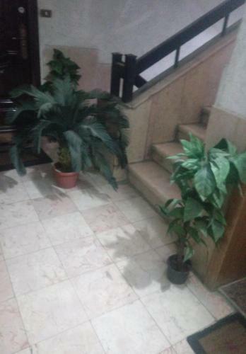 Apartamento ??? ?????? ???? ????? ????? ???? ????? ????? ?????? ????? ???