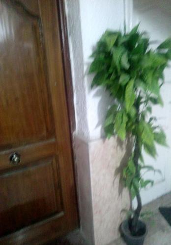 Apartamento ??? ?????? ???? ????? ????? ???? ????? ????? ?????? ????? ???