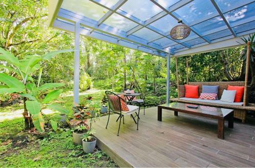 Casita Naranja Tropical Plants Many Birds And Squirrels
