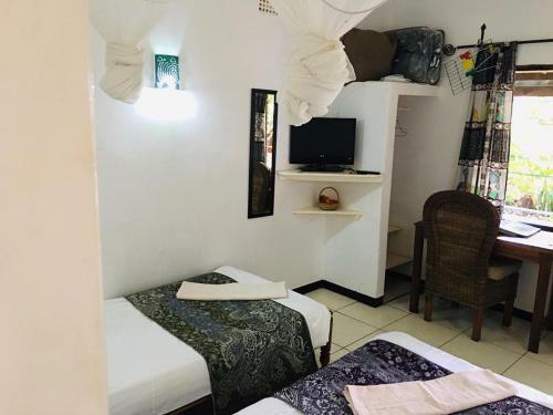 Hostal Green Tree Lodge