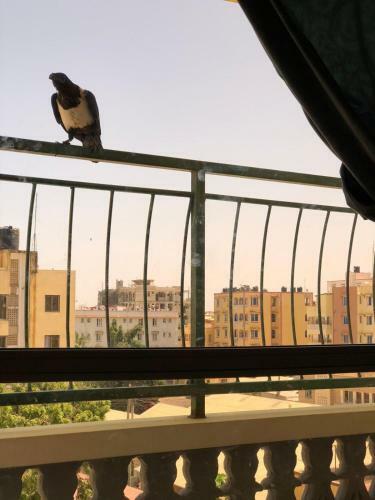 Apartamento Jaber