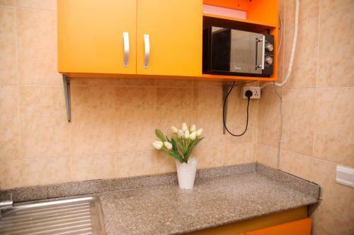 Skb Apartment